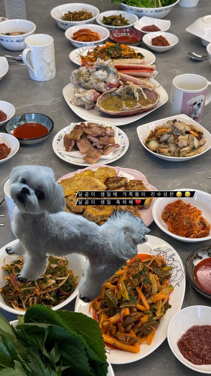 Jisoo IG story 🩷 @Blackpink “The family is having a feast on Dalgomie’s birthday 🤣🤣 Happy Birthday Dalgomie ♥️”
