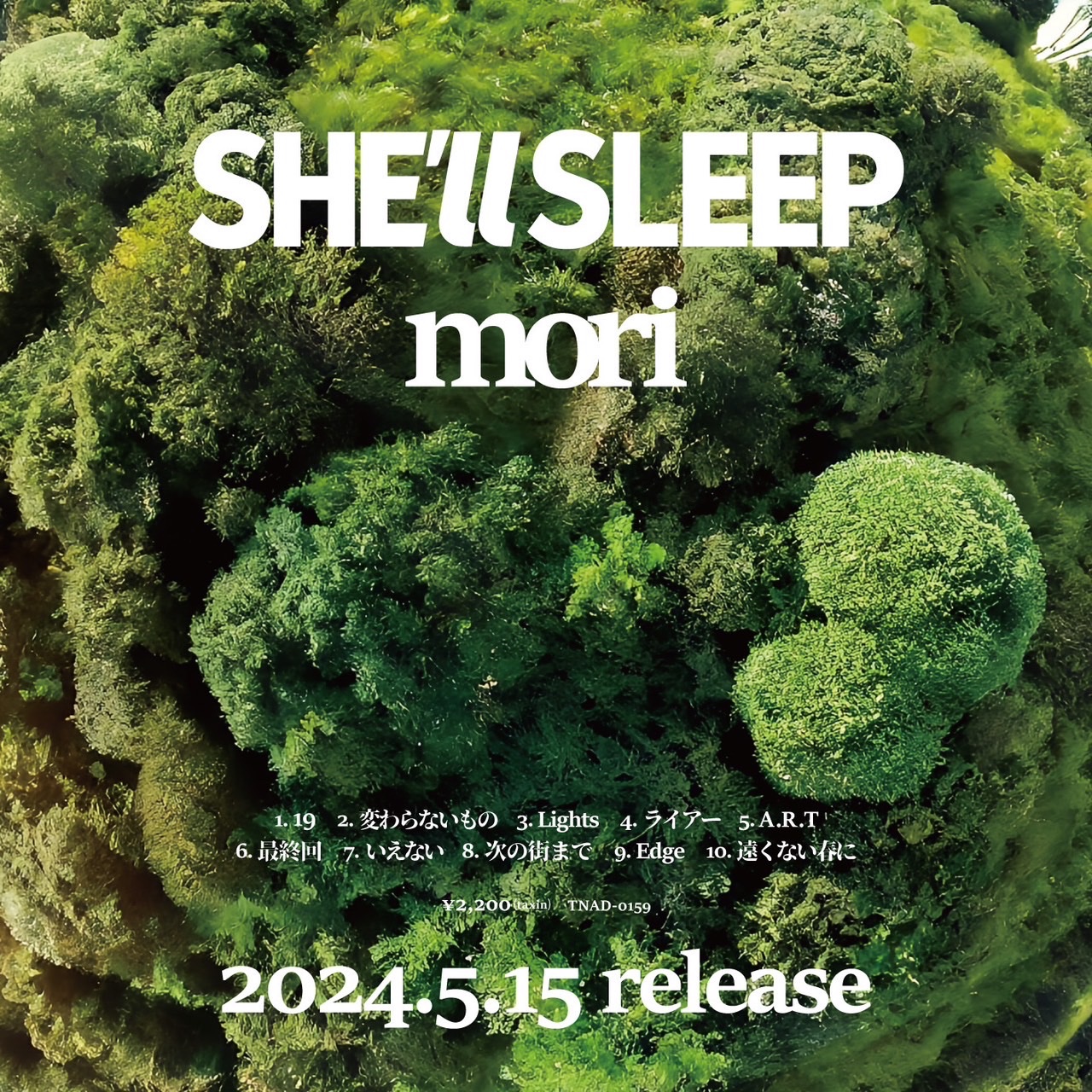 邦楽 SHE'LL SLEEP mori DEMO SHE'll SLEEP on X: 