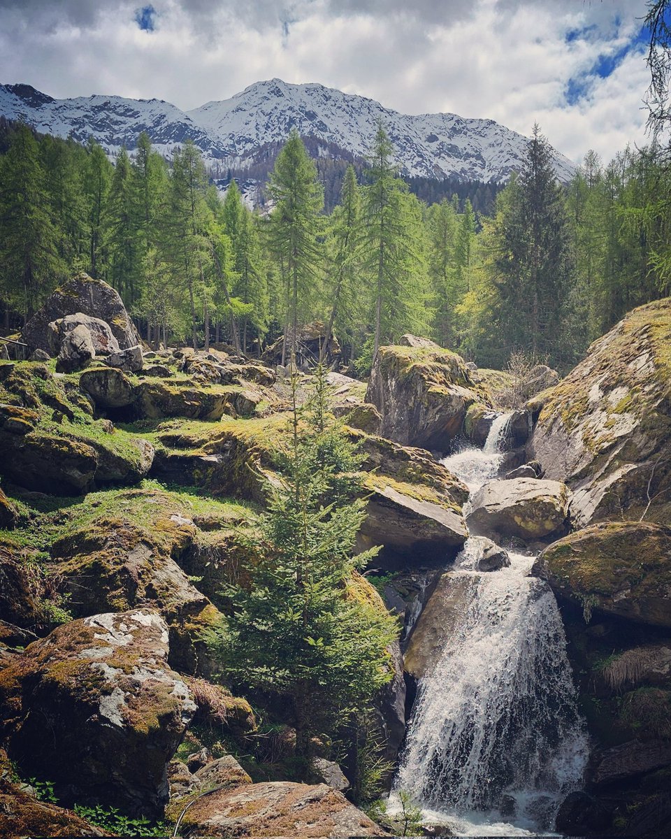 🏔 G●●d M○rning X Caffè insieme ☕️☕️🧁 Buongiorno anime belle 🤍 #goodmorning #buongiorno #MountainLover