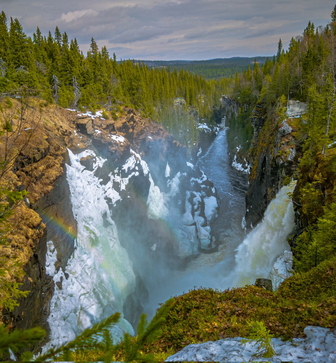 15. År - av forsande vatten har bildat en 800 meter lång kanjon vid Hällingsåfallet i Jämtland 

#vårpåminplanet