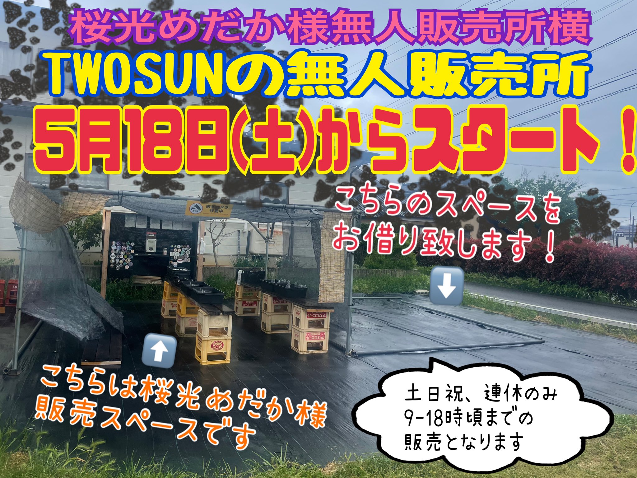 TWOSUN(アグリながぬま、ヤフオク販売中) on X: 
