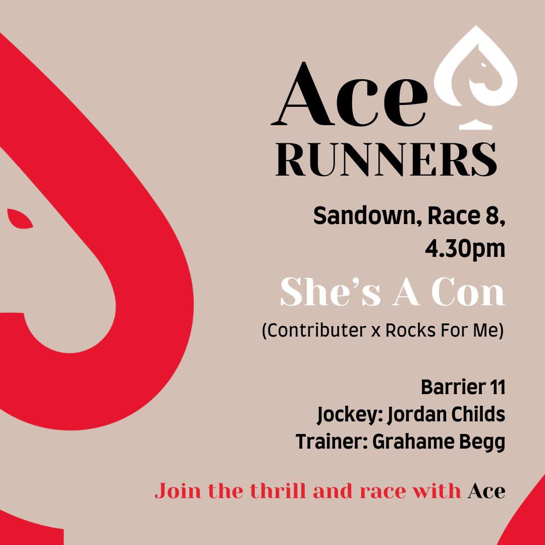 ♠️ We’re looking forward to seeing She’s A Con (Contributer x Rocks For Me) step out this afternoon for @Grahame_Begg at @MelbRacingClub Sandown. Wishing the best of luck to our members! #RaceWithAce #JoinTheThrill