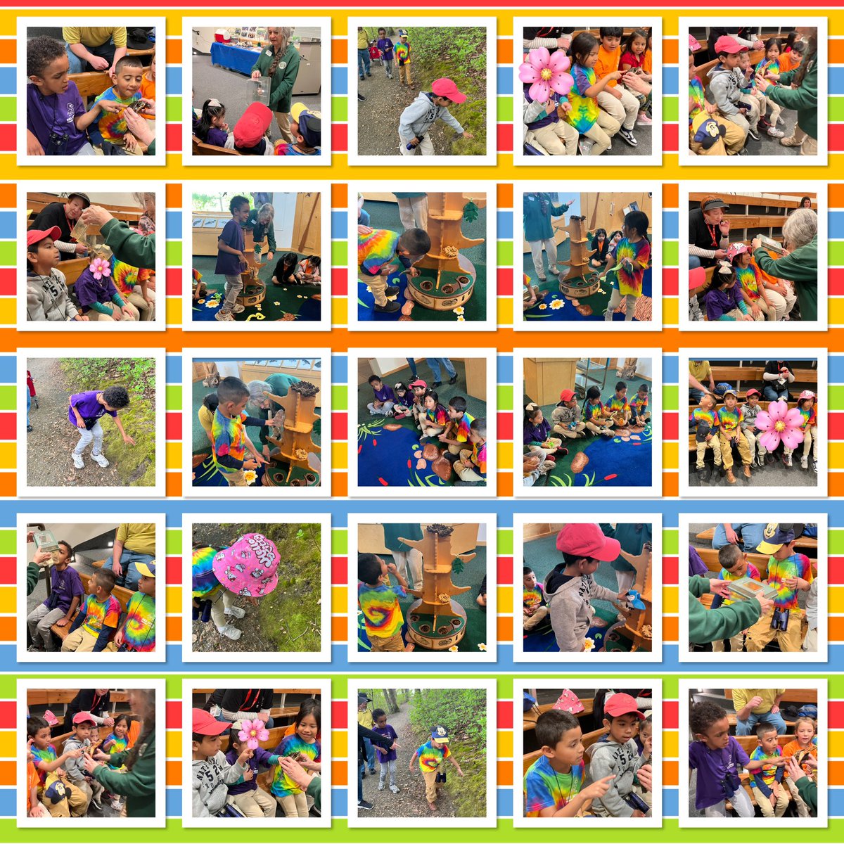 What a beautiful day to visit the Manasquan Reservoir! My students loved learning about animals &amp; their habitats. We took a nature walk. We were able to touch a snake &amp; turtles.We saw a frog, toad, &amp; a stick big! 🐍🐢🐸It was a great trip! #nature #RBBisBIA <a href="/rbpsEAGLES/">Red Bank Primary</a>