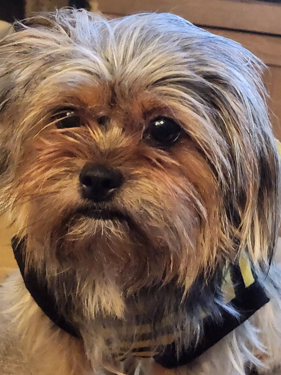 DPolishPrince's tweet image. #BestAtHomeContest #AKC