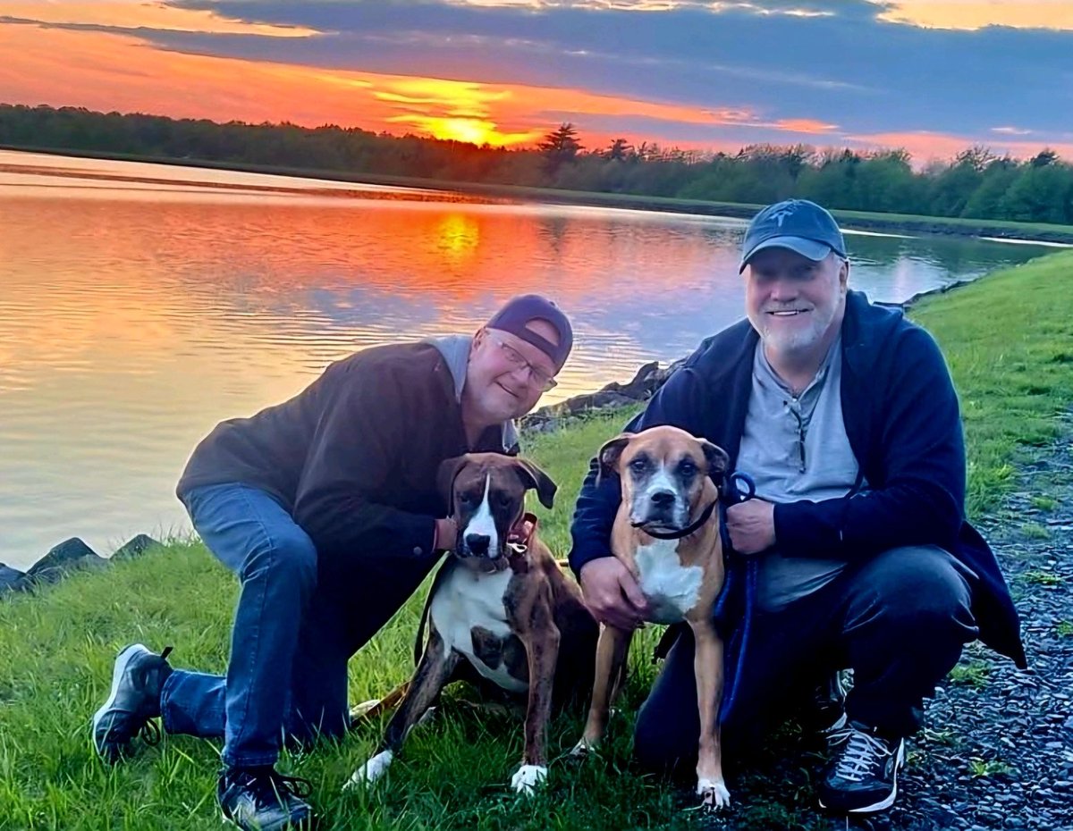 Wallaby (L)needed a temp foster while his foster went on vacation. He hit the jackpot. They fell in love and the rest is history . Adopted ! #rescuedogs #boxerdogs #adopted #adoptdontshop #boxerlife #boxerdog #boxerpup #dogs #puppylove #family #saynotopuppymills
