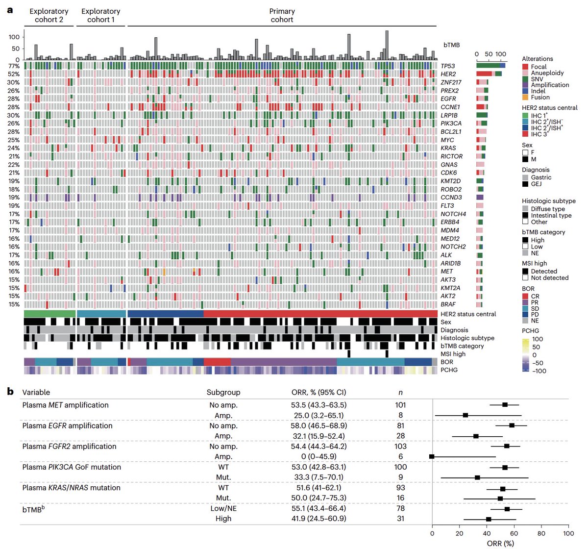 Trastuzumab deruxtecan in HER2+ gastric cancer @NatureMedicine doi.org/10.1038/s41591… 🔎exploratory biomarker analysis of DESTINY Gastric01 👉64% concordance btw HER2+ IHC & 🩸 👉MET, EGFR & FGFR2 GA: ORR⬇️ 👉HER2 mutations: ORR⬆️ 👉activity in Her2 low @myESMO