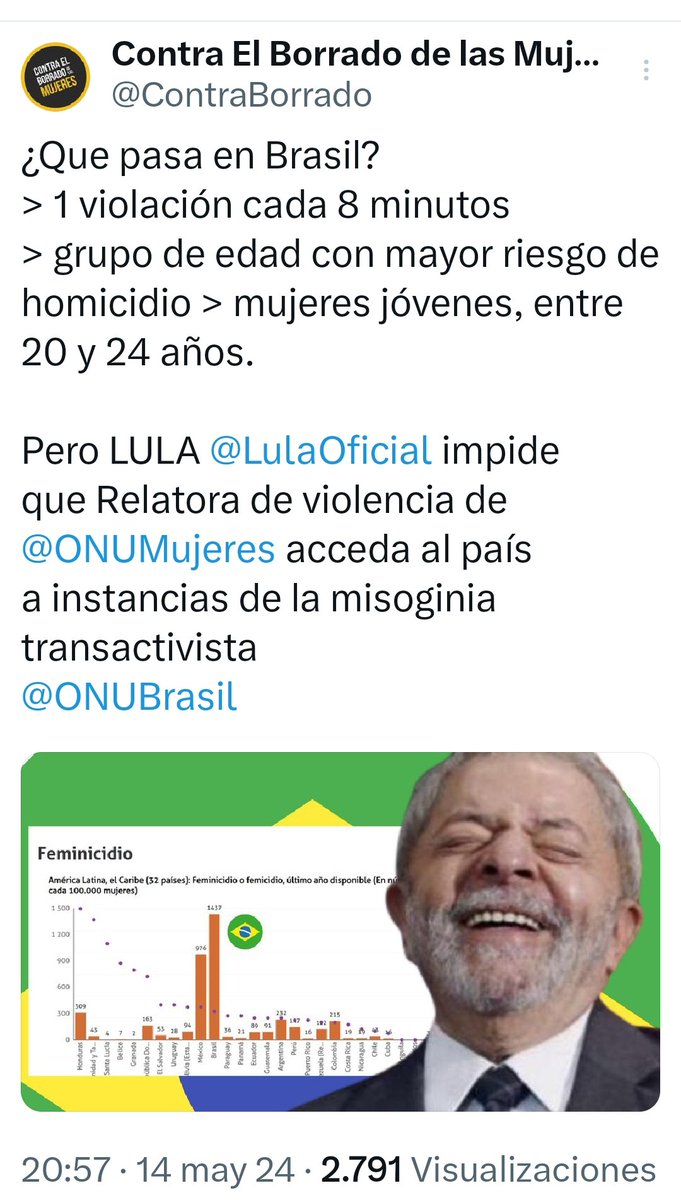 Qué bueno. El zurdo Lula manda a la m... a una representante de ONUMujeres.