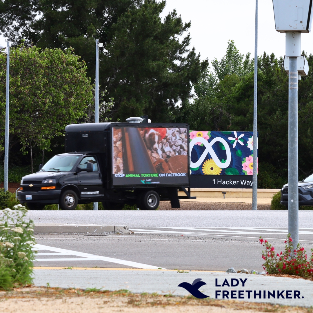 Hi Mark Zuckerberg! Did you see our mobile video truck?

Lady Freethinker sent a truck to circle @Meta Headquarters today with videos found on #Facebook to bring attention to how easily #animal cruelty spreads on the platform.

It’s time to #TakeAction.  ladyfreethinker.org/sign-remove-an…