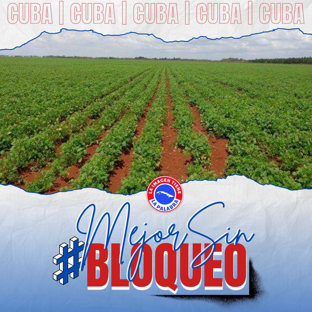 #🦀 Guajiro de monte adentro y que, pero mejor sin Bloqueo compadre..!🇨🇺 #Cuba #DeZuraTeam #MejorSinBloqueo