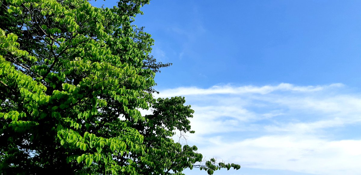 本気♪…本当の気持ちが、本当の気愛が、何処にあるのか？本気は、試される♪