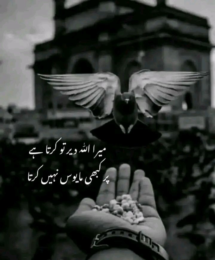 imran44940's tweet photo. Kasy Hy ap sab
Good morning 🌄🌄🌅 https://t.co/0y2BYkDPQ9