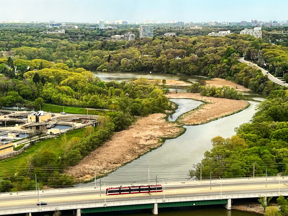 A TTC streetcar makes its way along The Queensway with the Humber River unfolding behind. 🎧: open.spotify.com/playlist/4Ie4I… #toronto #ttc #humberriver @DailyHiveTO