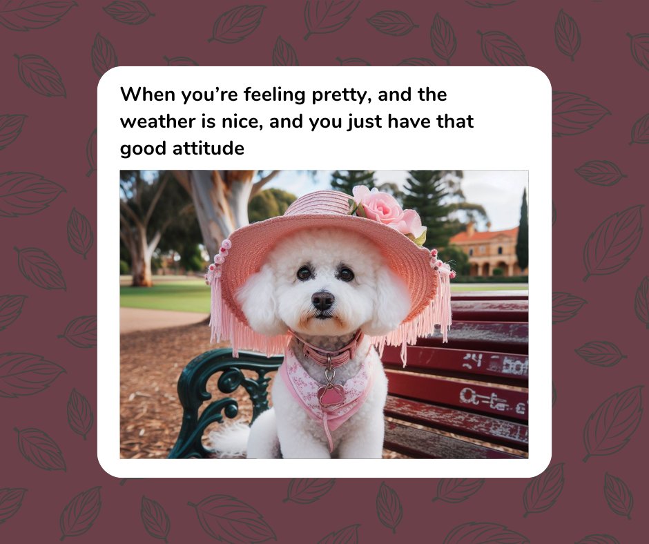 Just feels like a good day 😎

#dog #dogs #dogsofinstagram #dogsofaustralia #puppy #puppies #puppiesofinstagram #puppiesofaustralia #meme #dogmemes #funny #lol #wednesday #humpday #fyp #woofwoofmeow