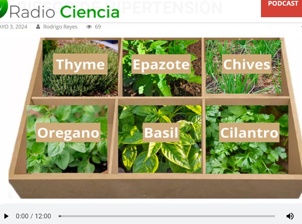 Si te perdiste la entrevista en Radio Ciencia, estación del IMER 1350 am, sobre el artículo publicado este año acerca del uso de hierbas aromáticas para reducir el riesgo de hipertensión, ya está publicado el podcast 👇
radiociencia.com.mx/2024/05/03/hie…