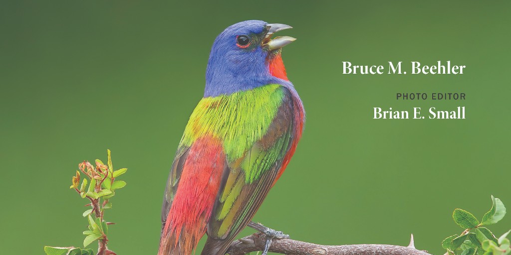 Announcing “Birds of North America: A Photographic Atlas,” from @BruceMBeehler & Brian E. Small! ABC is proud to sponsor the book, with one third of proceeds benefiting our work to conserve wild birds throughout the Americas. Learn more: bit.ly/3wvQXjA. @‌JHUPress