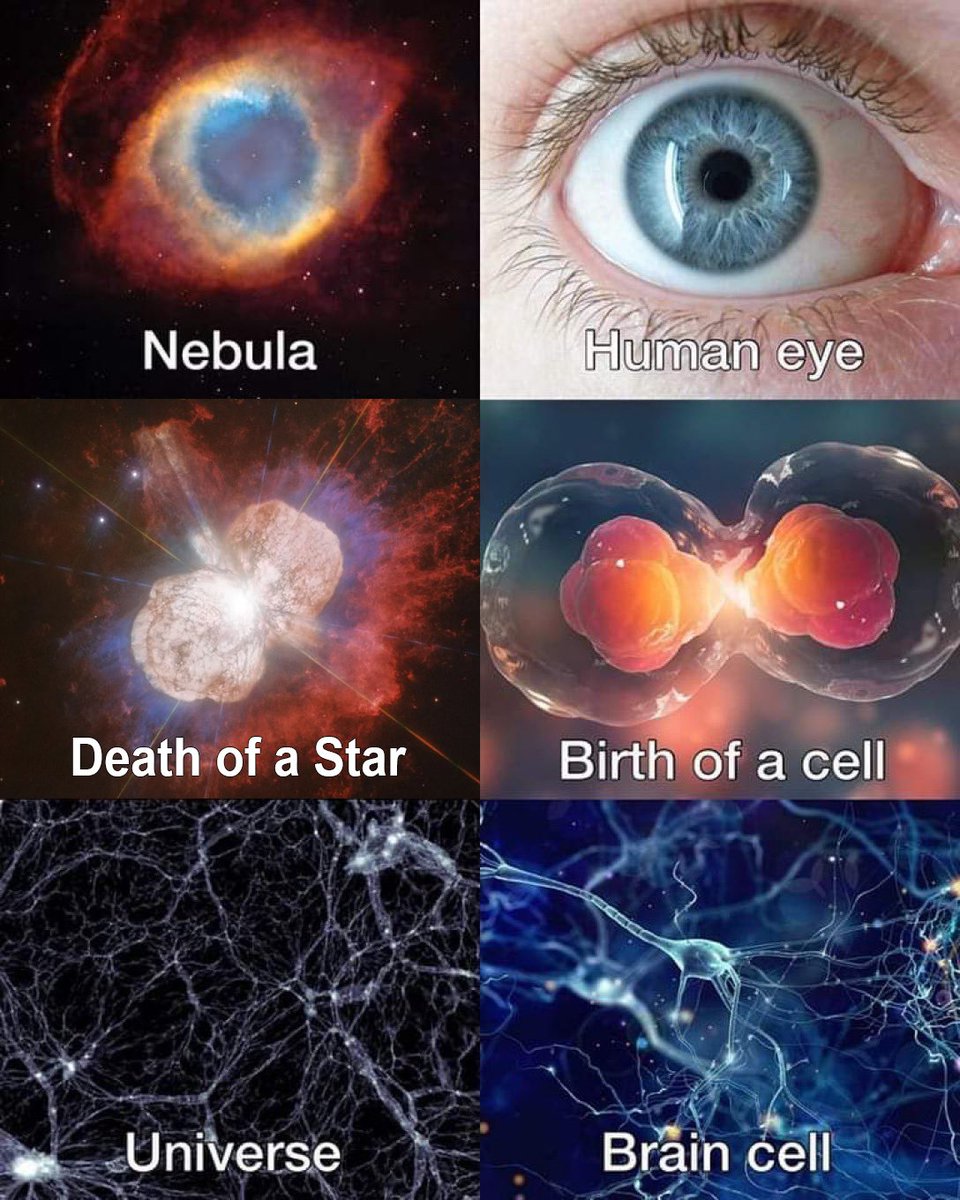 The universe is in us.