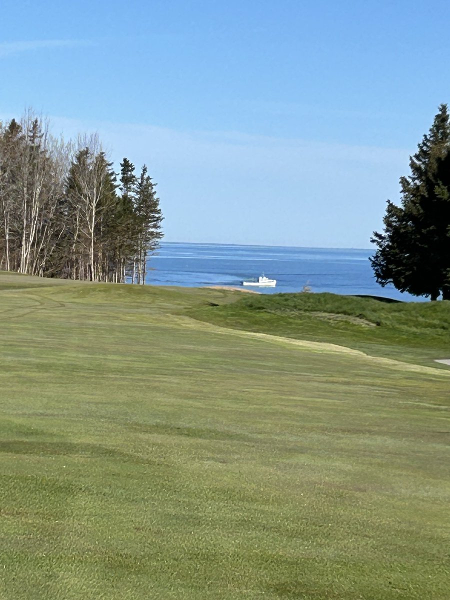 Northumberland Links Conditions (@linksconditions) on Twitter photo #13 green ready for sod…. It was an honour to work with Nick Larson- he is so talented on the escavator- shaping bunkers without a knuckle bucket! Plus a boat where it’s supposed to be! Lol <a href="/cfgolfdesign/">Christine Fraser</a> has hit this one out of the park!! In the finishing stages now. #13 green ready for sod…. It was an honour to work with Nick Larson- he is so talented on the escavator- shaping bunkers without a knuckle bucket! Plus a boat where it’s supposed to be! Lol <a href="/cfgolfdesign/">Christine Fraser</a> has hit this one out of the park!! In the finishing stages now.