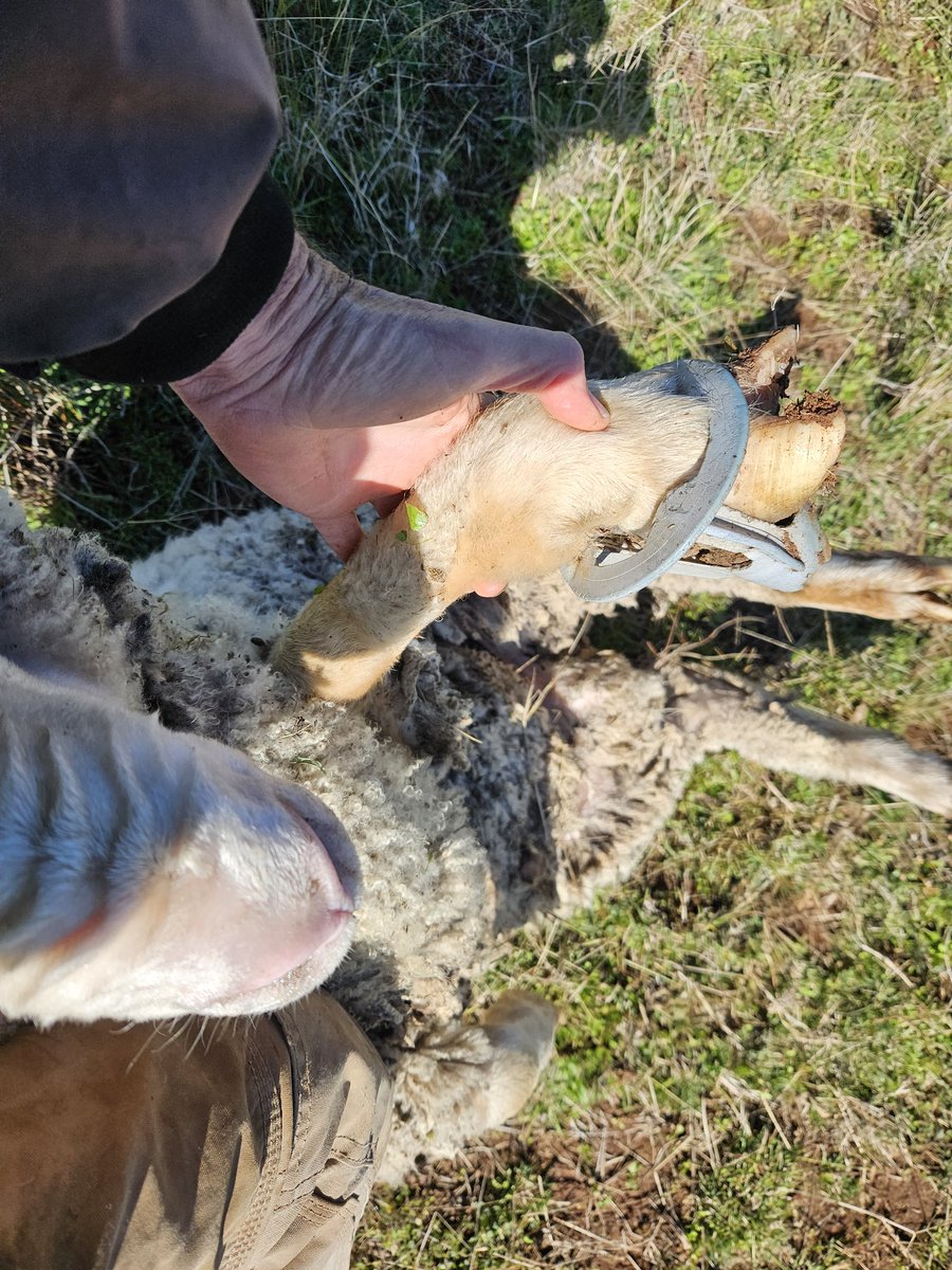 Mark Mortimer tweet media