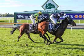 Today @MelbRacingClub Race 4. Written Bligo. Jockey @JChilds47 Race 8. She’s A Con. Jockey @JChilds47 @AceBloodstock