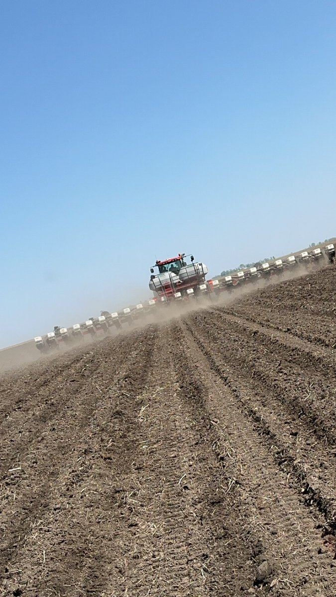 A top notch day to throw in a plot! 15 hybrids ranging 96-109 maturity. Conditions were excellent!
<a href="/LGSeeds/">LG Seeds</a> <a href="/JeffBullerman/">Jeff Bullerman</a>