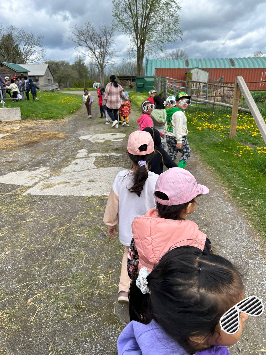 Ms. Mitchell tweet media