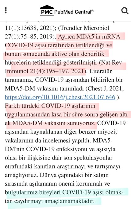 Resim