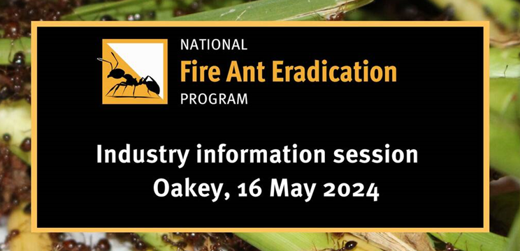 Oakey fire ant update 🚨 Come along to an info session focused on efforts to protect Oakey & surrounding areas from fire ants. 📅 Thu 16 May ⏰ 4:30 – 6:00 PM 📌 Oakey Cultural Centre, 68 Campbell Street, Oakey RSVP today - email fireants@daf.qld.gov.au #queenslandagriculture