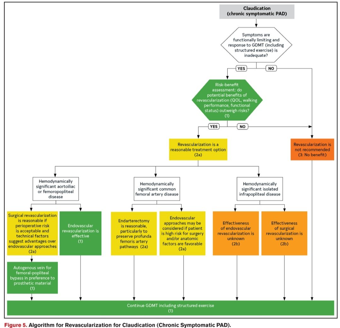 Guía 2024 ACC/AHA/AACVPR/APMA/ABC/SCAI/SVM/SVN/SVS/SIR/VESS; para el tratamiento de la Enfermedad Arterial Periférica. 🫀💥🩸🦵
🟥La EAP de las extremidades inferiores es una ECV común que se estima que afecta a entre 10-12 millones de 👥️🇺🇸  >40 años y se asocia con morbilidad,…