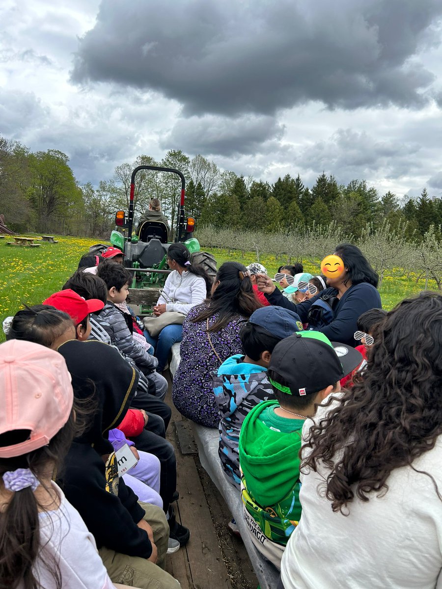 Ms. Mitchell tweet media