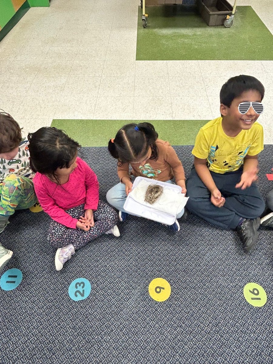 Ms. Mitchell tweet media