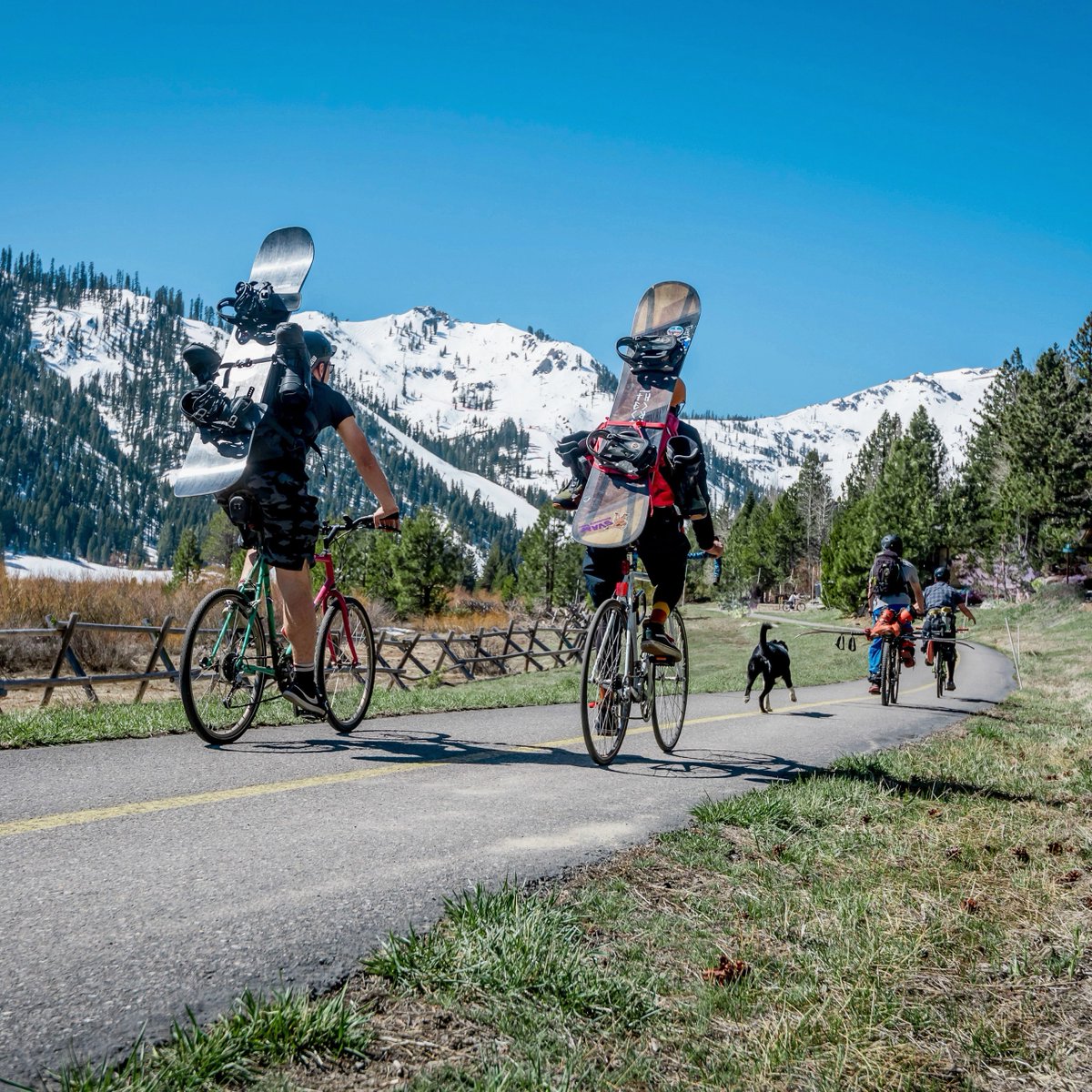 Did you know the Olympic Valley Bike Path is connected all the way to Tahoe City, and beyond? 🚲 It’s a scenic and relatively flat pedal, perfect for kids, bike trailers, or cruiser bikes. Read more about biking in Tahoe: palisadestahoe.com/events-and-act…