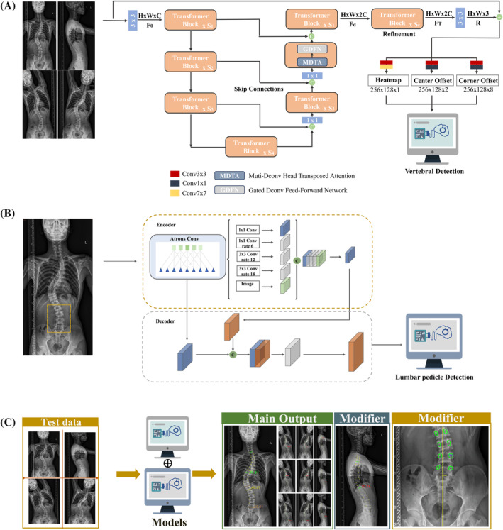 want to simplify spine classification? @JorSpine study has constructed an automated Lenke classification system by employing the deep learning networks to achieve the recognition pattern and feature extraction.#ORSSML @ORSSociety #ORSSMC doi.org/10.1002%2Fjsp2…