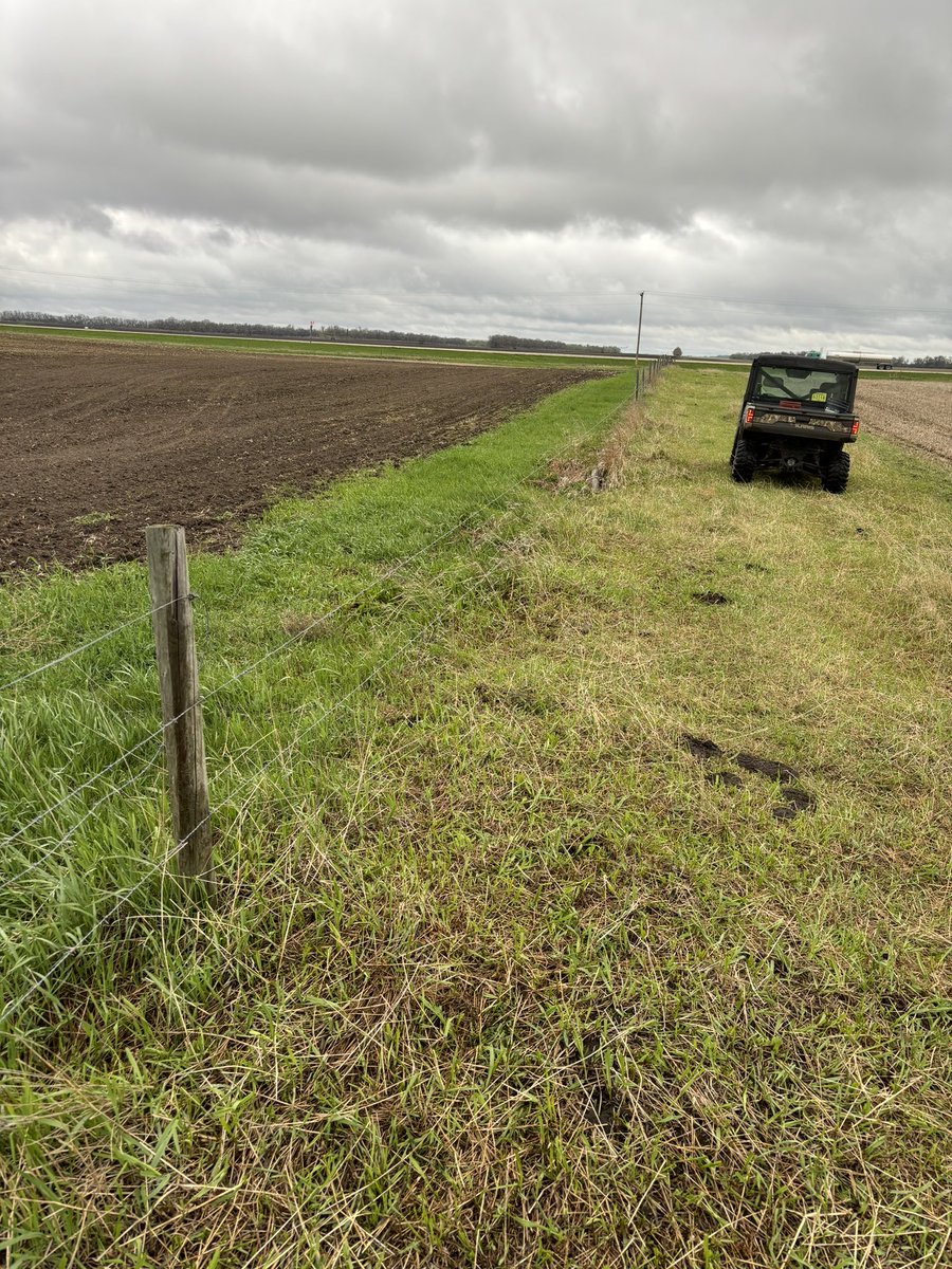 Scott Baron tweet media