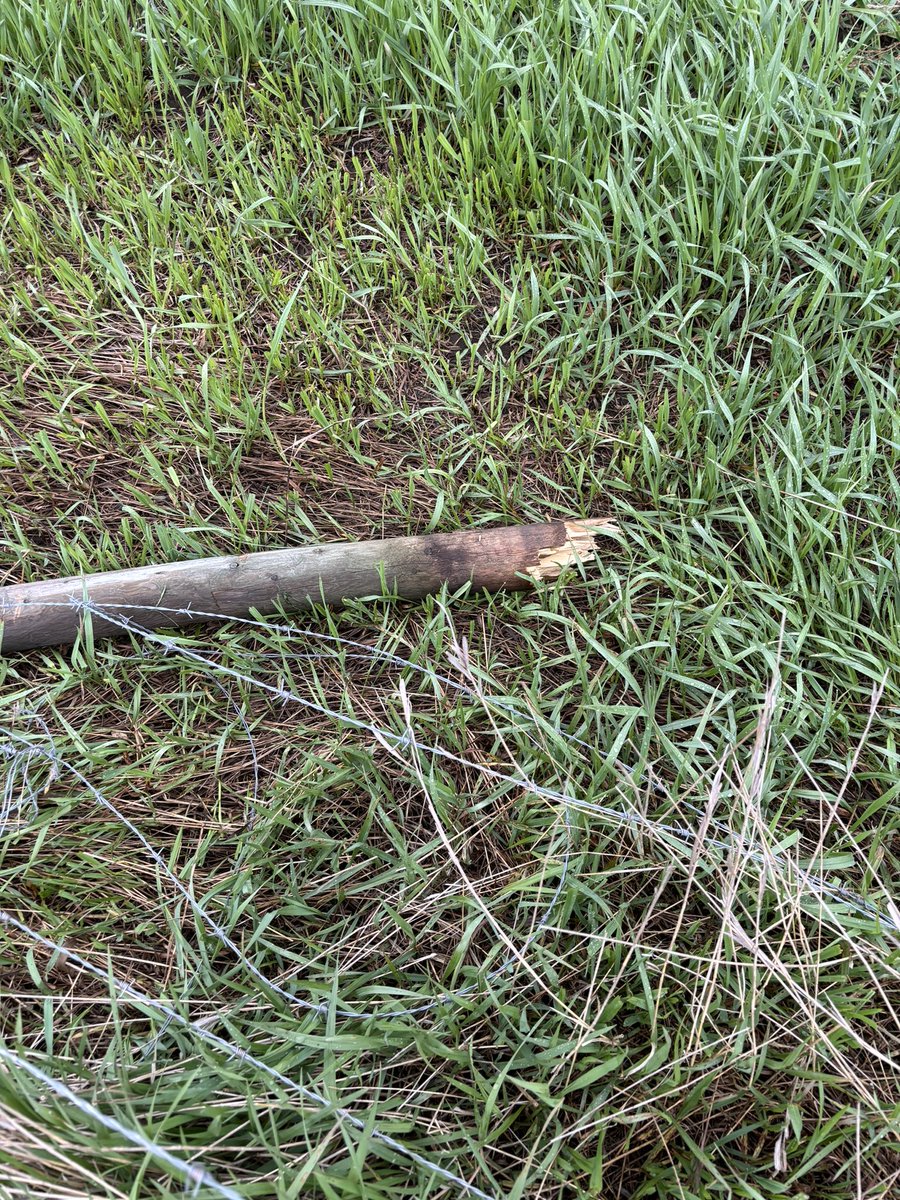 Scott Baron tweet media