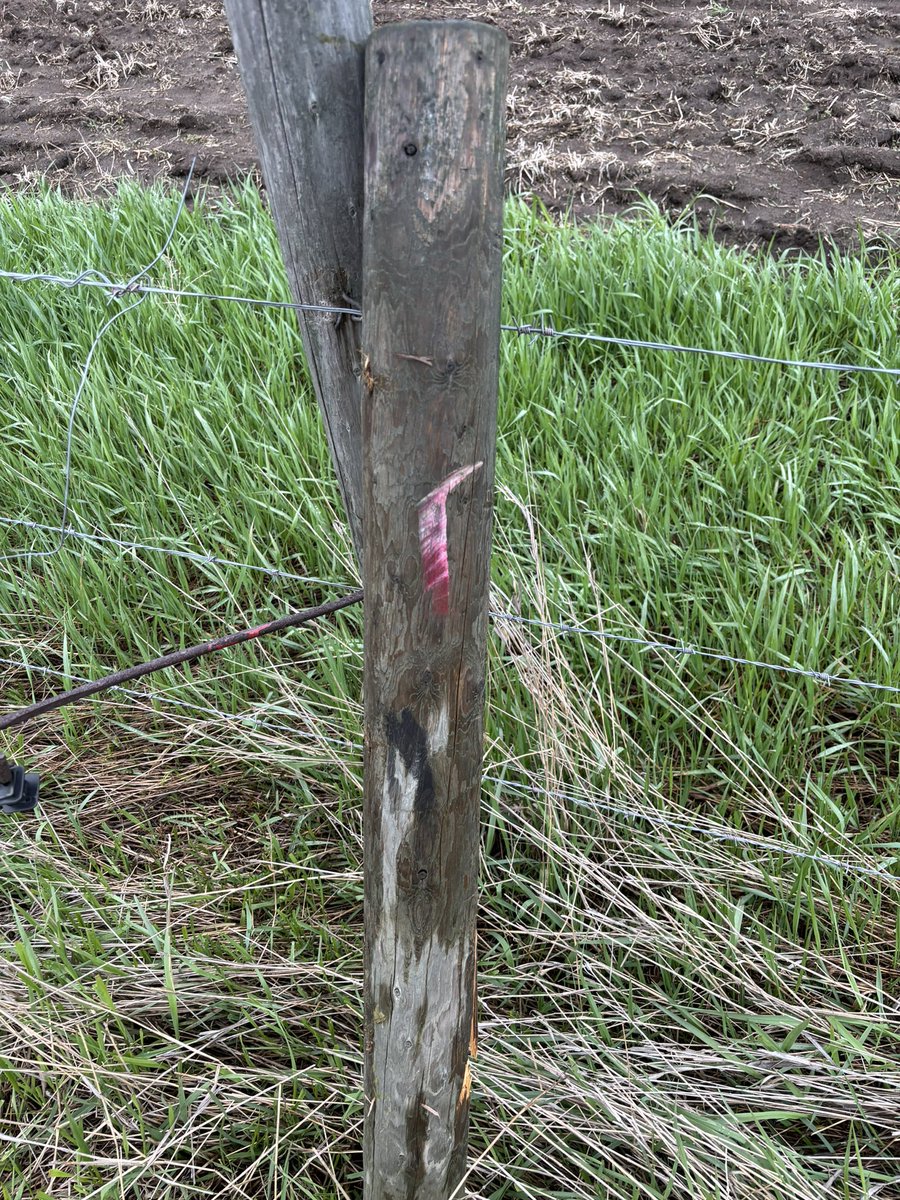 Scott Baron tweet media