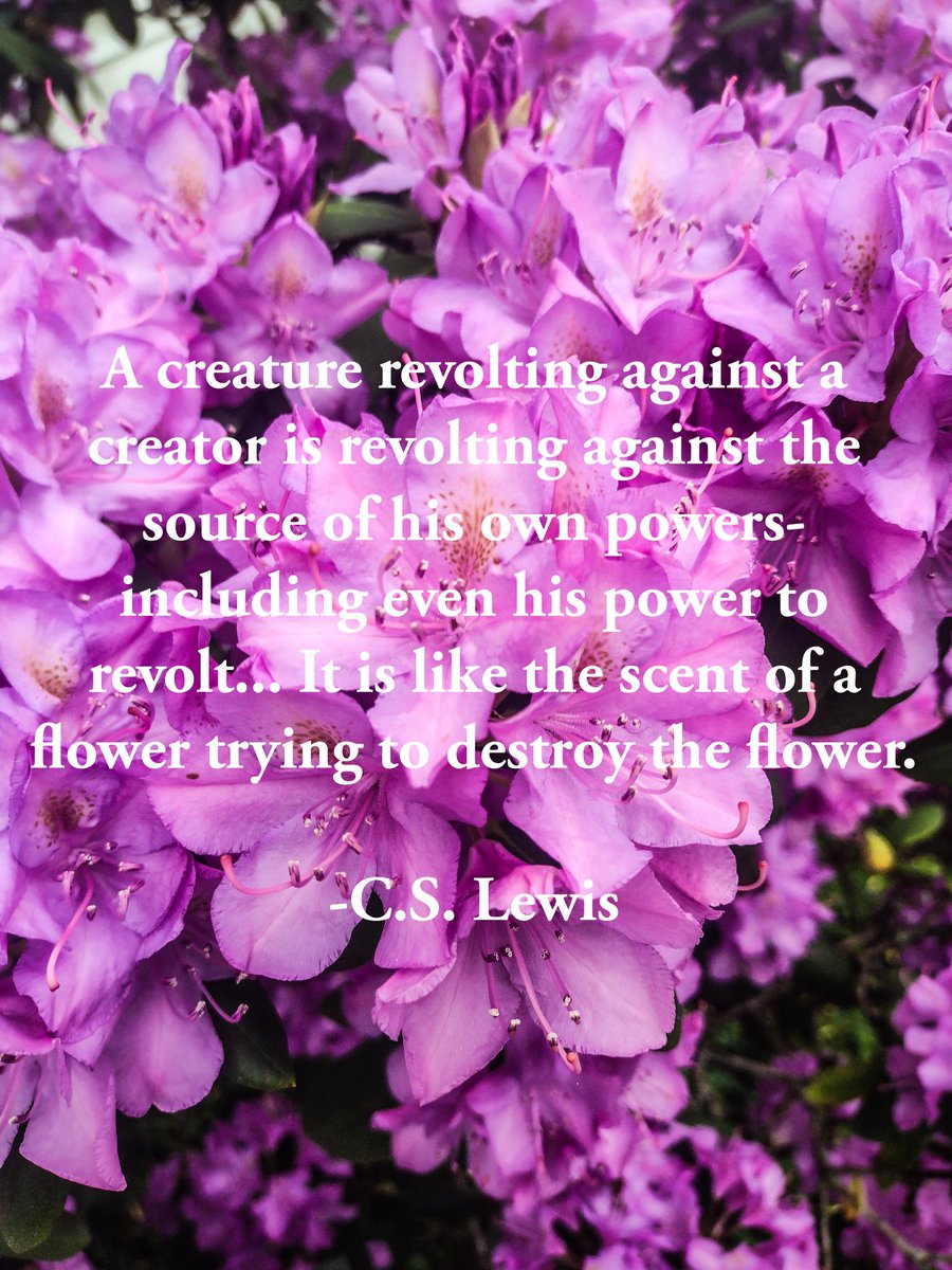 Our old-fashioned rhododendron tree is in full bloom. I usually stick with astrophotography, I'm not very artsy or do other photography but what the heck. Plus I like C.S. Lewis quotes.