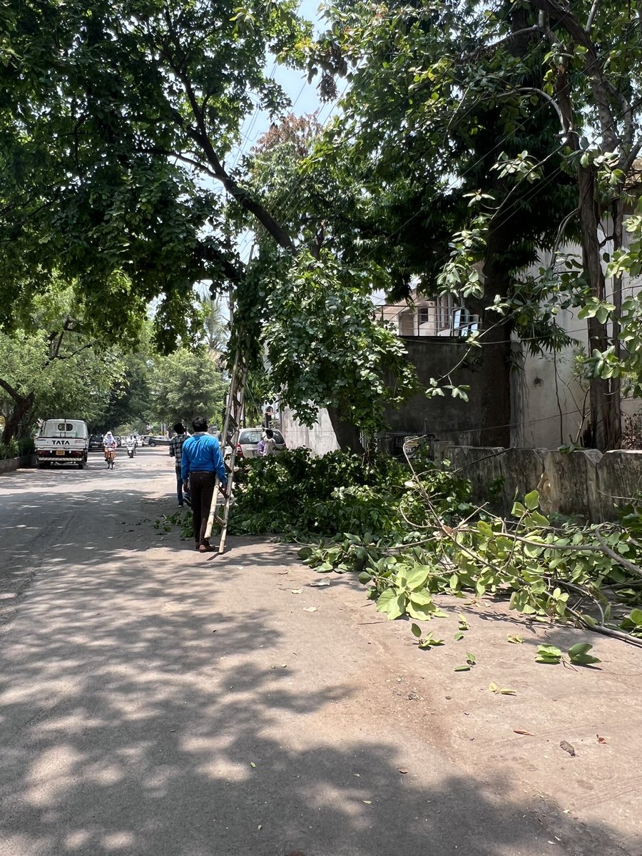 What an ironic scene: in 42°C heat, they are trimming trees to ensure an uninterrupted power supply so that we can operate our air conditioners at 18°C. Photo from Shailendra Nagar, Raipur. 14 May 2024.
