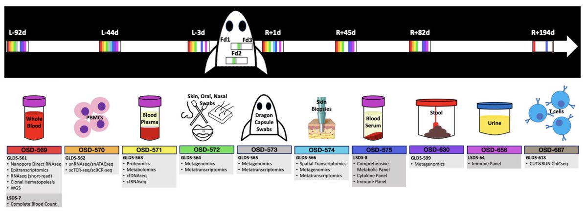 Hooray🎉 10 @inspiration4x datasets @NASA Open Science Data Repository @NASAGeneLab Omics&clinical, first human space data 2B maximally open, findable, accessible, interoperable, reusable 📣 @NASASpaceSci @atulbutte @baym @PracheeAC @ItaiYanai @BoWang87 @katieelink @daniel_kraft