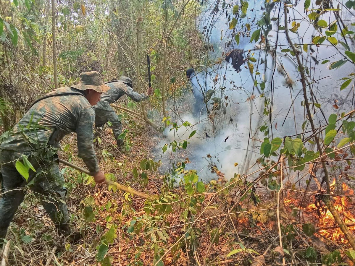 Primera Brigada de Infantería del #EjércitoGT, apoyó a bomberos y elementos de la Municipalidad, en las acciones de supresión de incendio forestal, en la aldea Sabanetas, Dolores, #Petén.