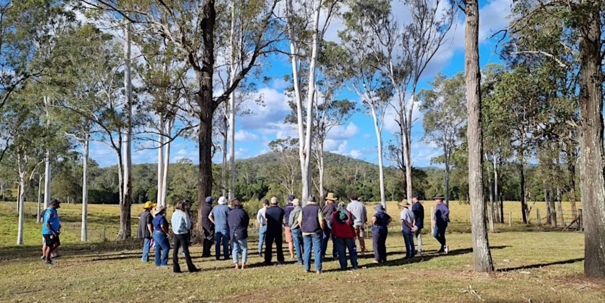 The @bmrg4nrm Paddock to Reef Regional Science Forum will be held Tuesday 28 May in Bundaberg. 

Hear about projects that are helping our region meet Reef 2050 #WaterQuality Improvement Plan targets.  

#greatbarrierreef Funded by: @ausgov + @qldgov

More: buff.ly/3TwmBVJ