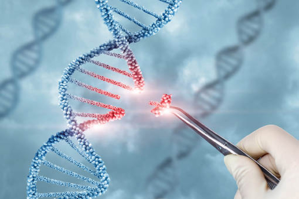 The road to acceptance for gene editing. manitobacooperator.ca/news-opinion/n…