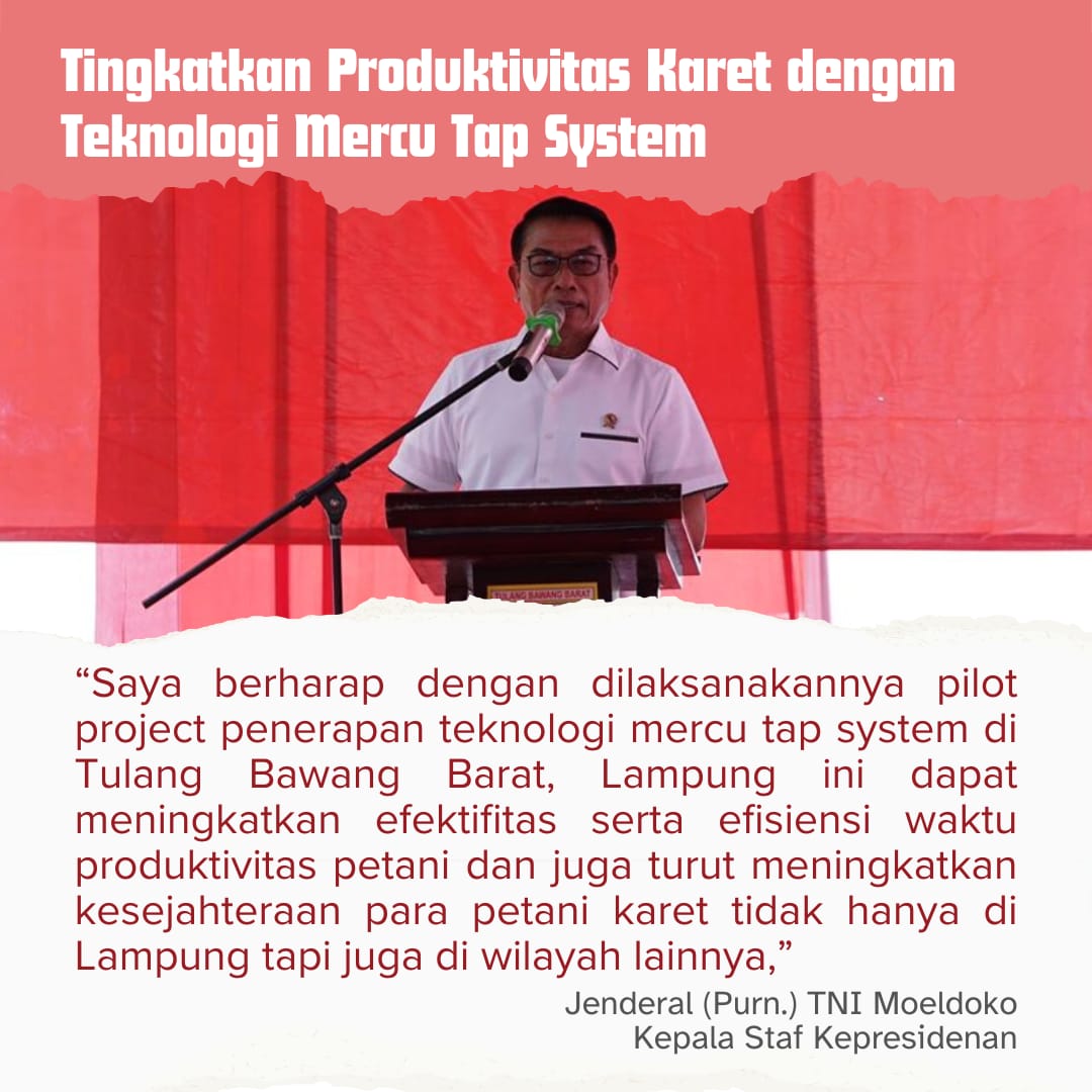 Tujuan dari teknologi mercy tap system adalah untuk meningkatkan produktivitas petani karet dalam segala cuaca, sehingga petani karet bisa segera menjadi kaya dan tidak tergantung lagi pada cuaca. Terutama saat curah hujan tinggi.

@Dr_Moeldoko 
#MoeldokoPeduliPetaniKaret