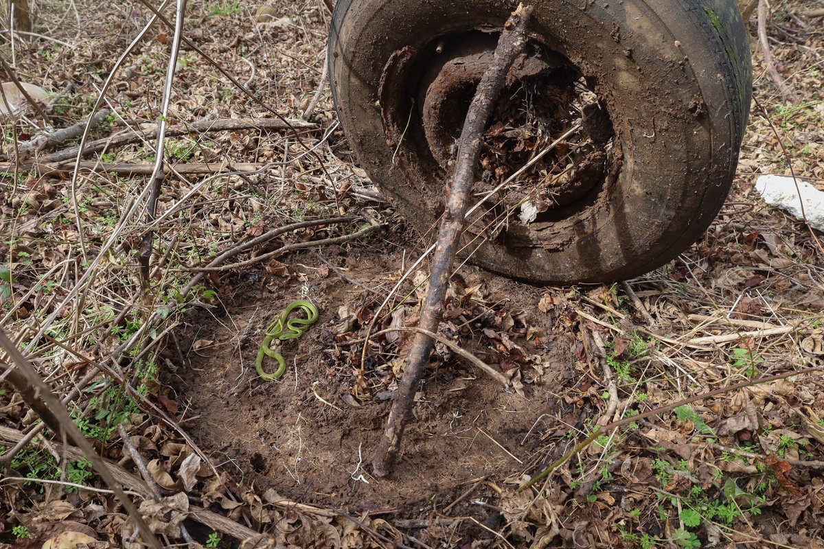 NKFherping tweet media