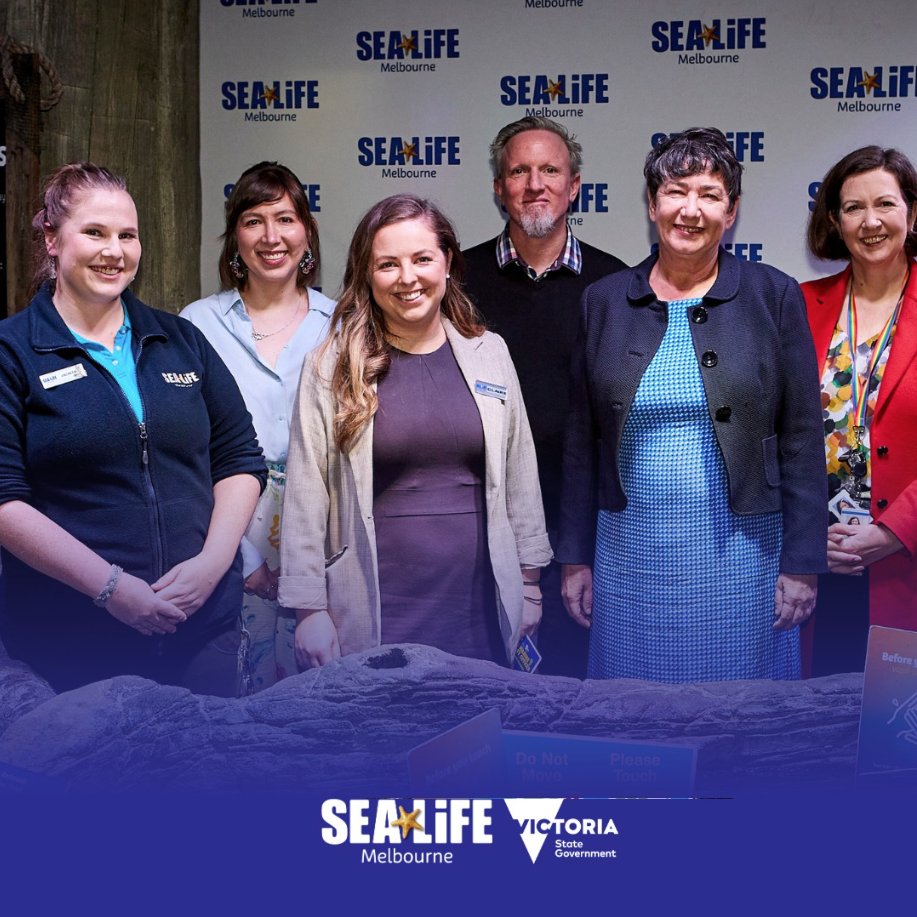 GabStanzi's tweet photo. We have teamed up with
@melbaquarium to design a Marine Biosecurity Campaign!  The program aims to raise awareness of marine pests and how we can all help protect Victorian oceans 🐙🦈The campaign will be displayed at the Melbourne Aquarium from May until mid-June! #marinescience https://t.co/LUVOTbZDb0