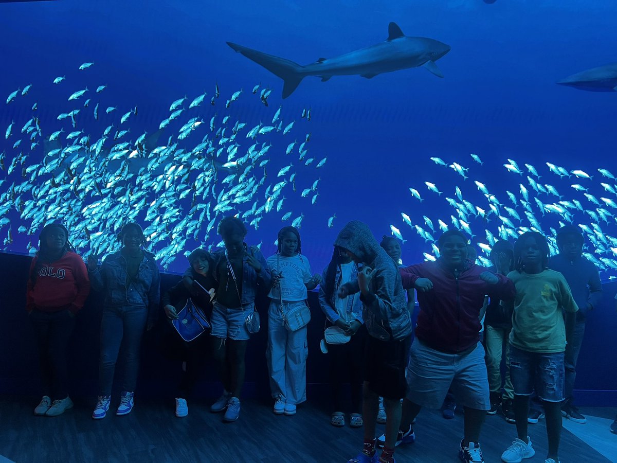 WOW‼️ Our 5th Grade SS had an 🤩 🌟AMAZING 🌟🤩 time 📣 on their annual class trip. Last year~SeaWorld🐠This year~The GA Aquarium & World of Coke‼️ “Oh the Places you will GO“ from 415 Goebel Avenue. 💚Thank you 💚parents for sharing your scholars with us‼️