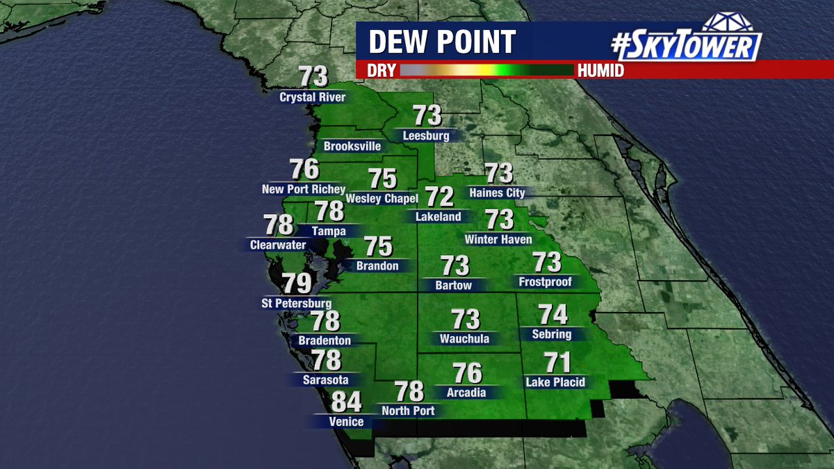 Gross. It's a steam bath out there with dew point in St. Petersburg at 79°. #Florida #Skytower
