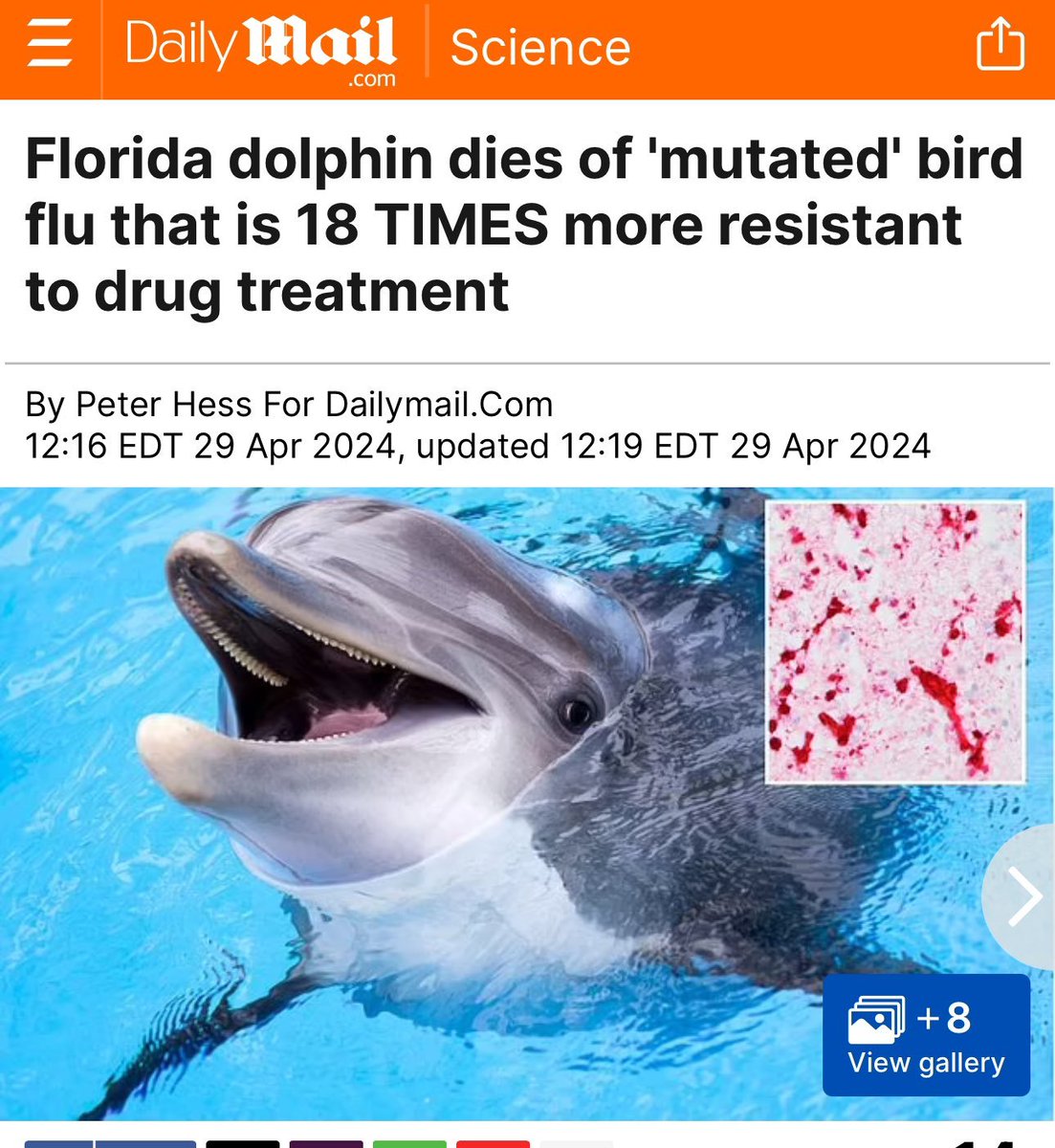 You can't make this stuff up

Now they're claiming a dolphin died from a mutated bird flu