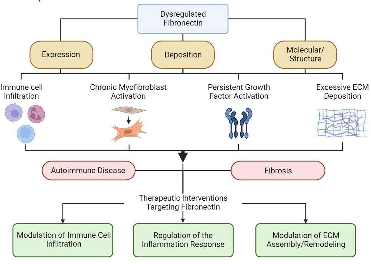 Editors of Advanced Drug Delivery Reviews (@addreditors) on Twitter photo ADDR 50 days' free access: Delivery technologies for therapeutic targeting of fibronectin in autoimmunity and fibrosis applications.
By Karin Wang & coworkers <a href="/templebioe/">Temple Bioengineering</a> <a href="/Karin_Wang26/">Karin Wang</a>
#ExtracellularMatrix #autoimmunity
authors.elsevier.com/a/1i~z5_,Oflnf… ADDR 50 days' free access: Delivery technologies for therapeutic targeting of fibronectin in autoimmunity and fibrosis applications.
By Karin Wang & coworkers <a href="/templebioe/">Temple Bioengineering</a> <a href="/Karin_Wang26/">Karin Wang</a>
#ExtracellularMatrix #autoimmunity
authors.elsevier.com/a/1i~z5_,Oflnf…