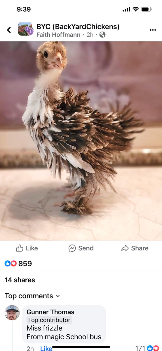 StaceyBillinge2's tweet photo. @LilyTomlin @LilyTomlin saw this and it was adorable to me.  Naming post and the majority was MsFrizzle!  ❤️❤️

https://t.co/G3nZGvDhfG https://t.co/aDDUrkn2ms