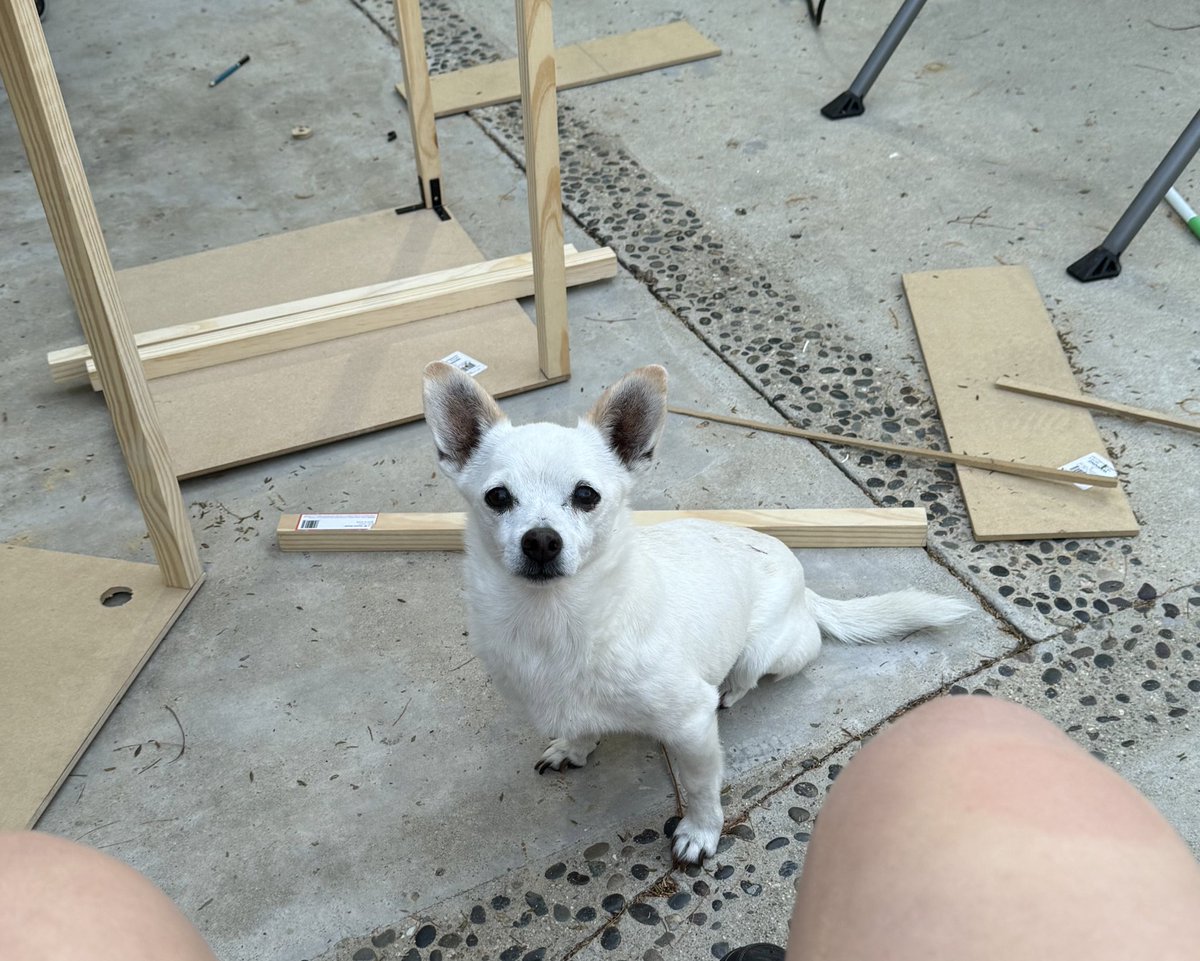 She’s helping me build things